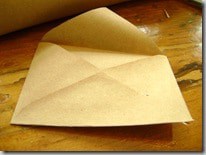 seeds 045