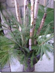 white seaters and christmas urn and weath 026