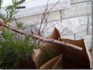 white seaters and christmas urn and weath 027