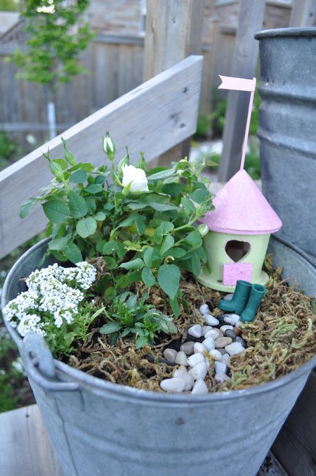 miniature fairy garden in a galvanized bucket