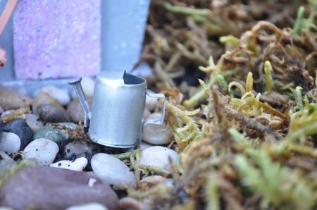 fairy garden miniature watering can