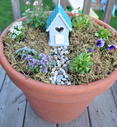 Fairy Garden in a terra cotta pot