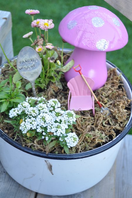 miniature fairy garden scene