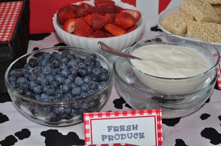 farm birthday party dessert table