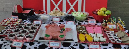 Farm Themed Birthday Party Food dessert table