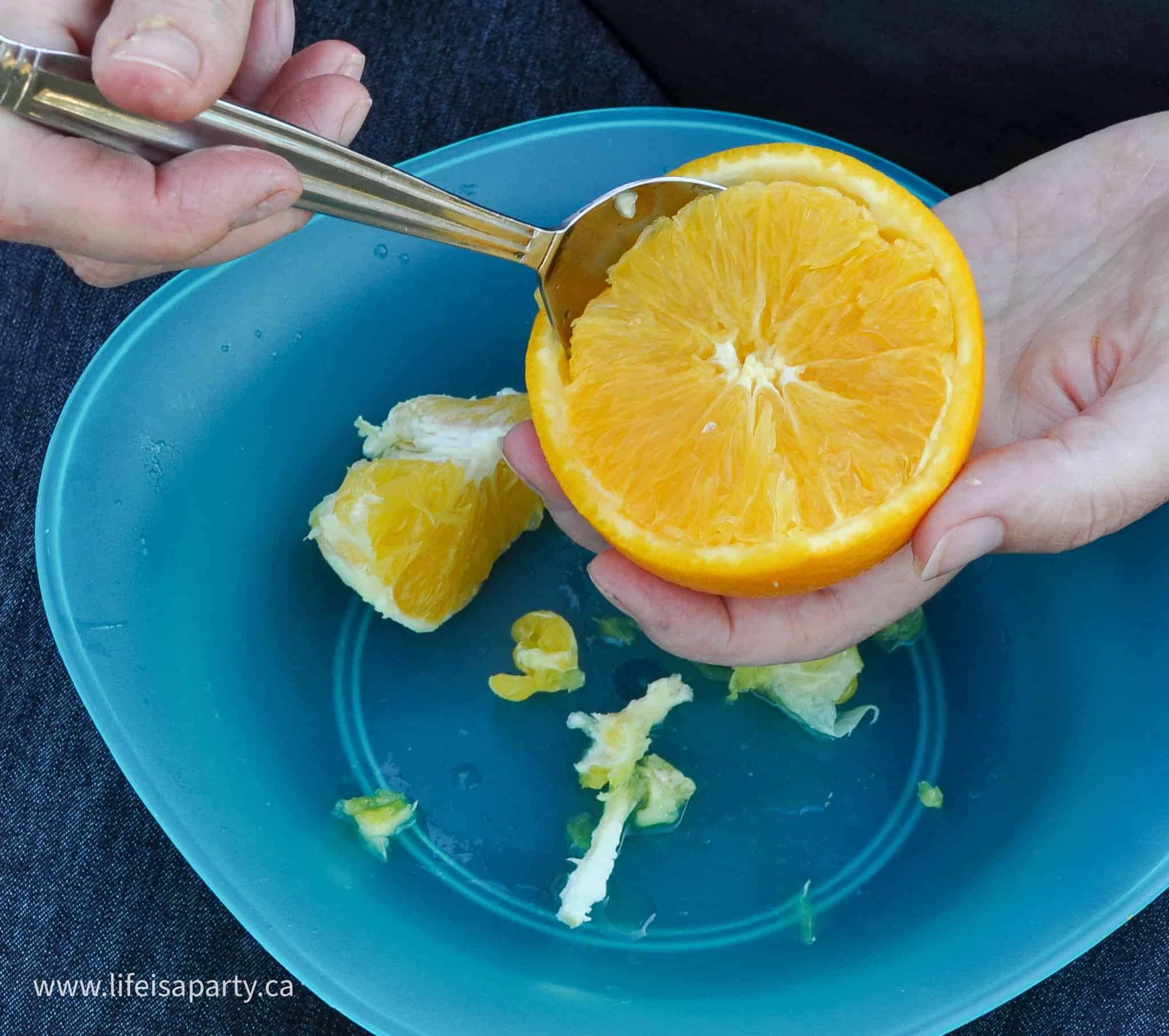 muffin in an orange peel