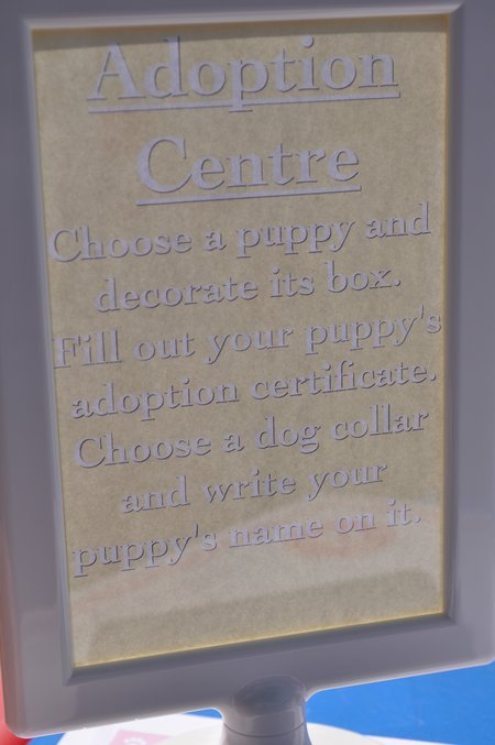 adoption centre sign for a Puppy Dog Party to adopt a stuffed toy