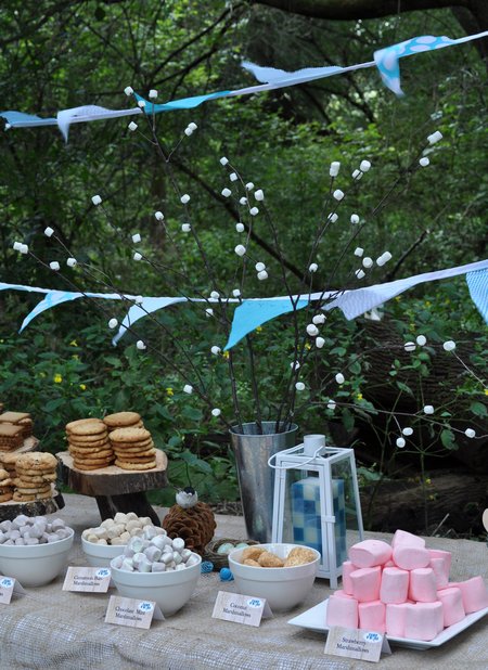 camping themed party food s'more buffet