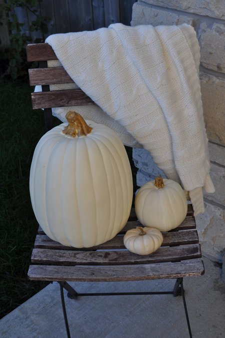 white pumpkins and blanket