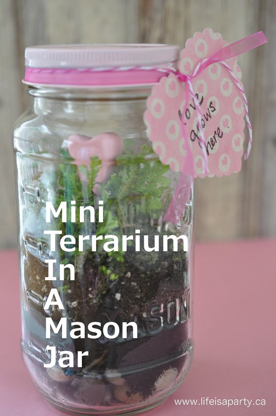 Mini Valentine's Day Terrarium in a Mason Jar: how to transform an old mason jar into a beautiful mini terrarium for Valentine's Day.