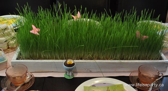 wheat grass Easter centrepiece