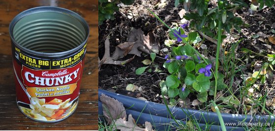how to make a flower pot out of a tin can