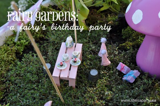 Birthday Fairy Garden: the fairies celebrating a birthday in the fairy garden with miniature tea and cupcakes, bunting, party hats and gifts.