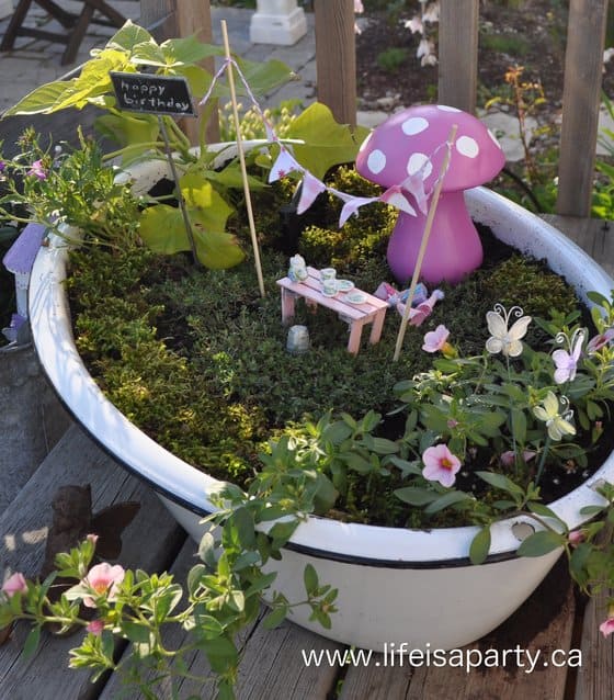 Birthday Fairy Garden