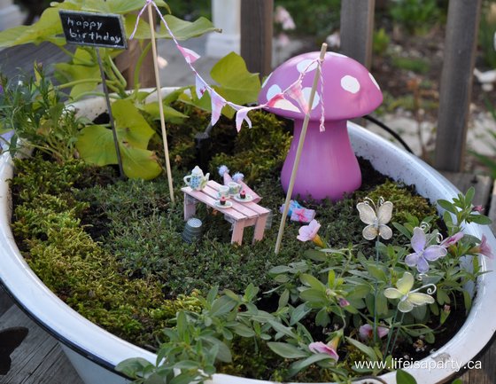 fairy garden miniature birthday tea party