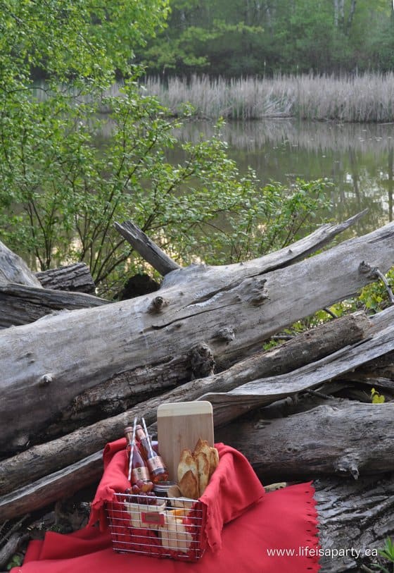 picnic by the edge of a pond