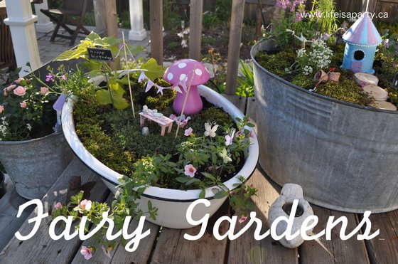 Fairy Gardens For Kids: kids can paint their own fairy houses, choose plants, and create their own fairy garden containers to grow and play with all summer.
