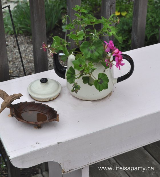 old teapot flower pot