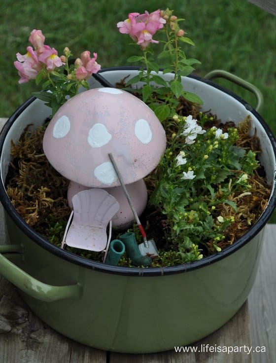 fairy garden