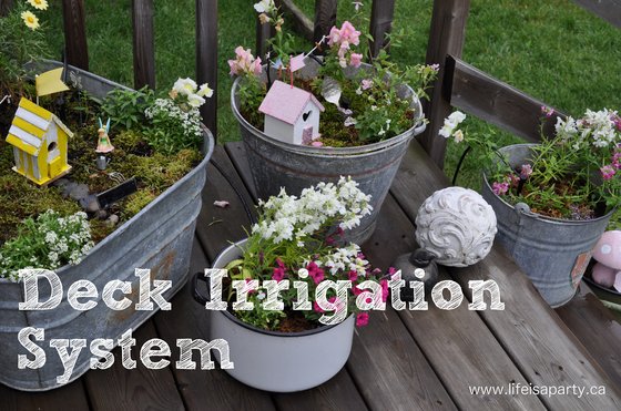 Potted Plant Drip Irrigation System: how to install a deck or patio irrigation system and have beautiful pots even if you're a forgetful waterer.