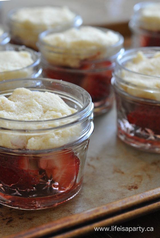 individual strawberry cobblers