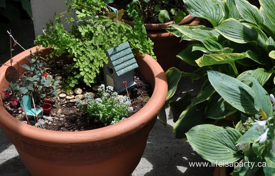 how to make a fairy garden for the shade
