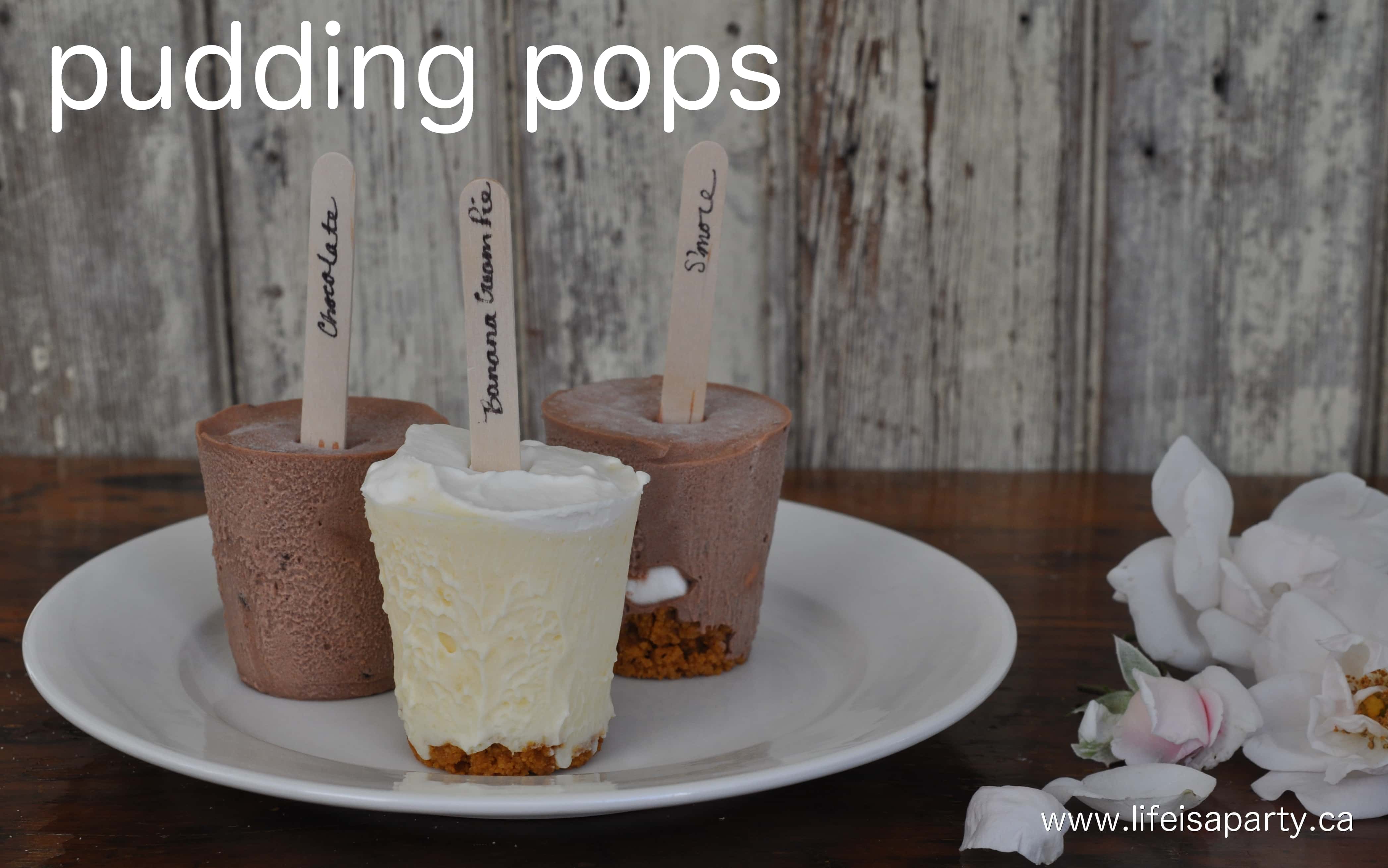 Homemade Pudding Pops: recipe for s'more, banana, and chocolate jello pudding pops. The perfect easy treat for a hot summer day.