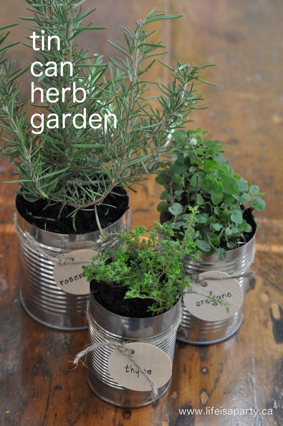 How to Make a Tin Can Herb Garden