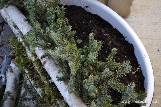 how to make your own Christmas planters
