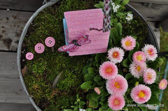 fairy garden pink