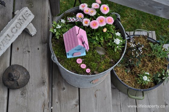 how to make a simple fairy garden