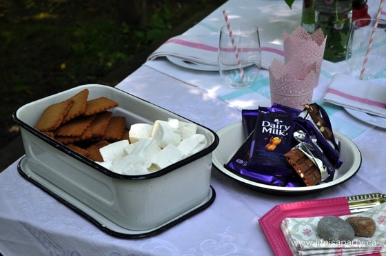 forest tea party s'mores