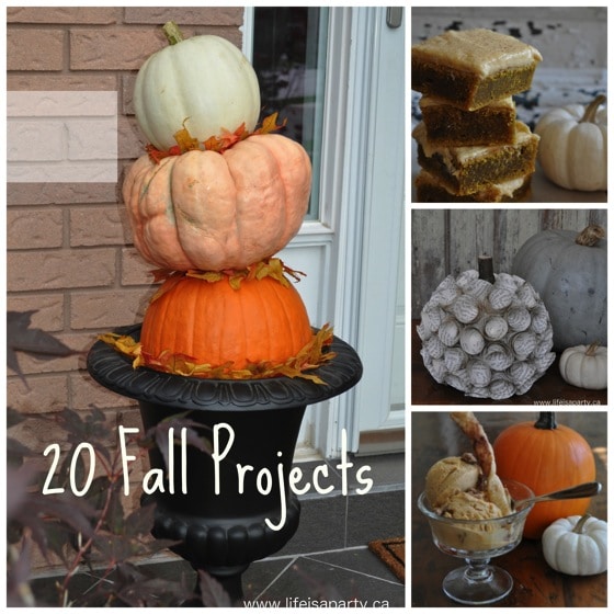 20 Fall Project Ideas: great diy's, projects, and recipes for fall.