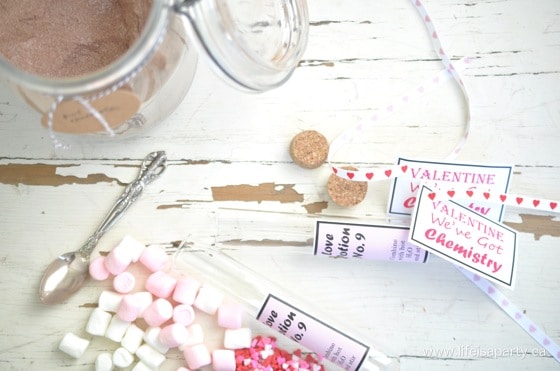 Love Potion Hot Chocolate Valentine: Sweet Hot Chocolate Love Potion in a Test Tube with a Free Printable label and We've Got Chemistry Valentine card.