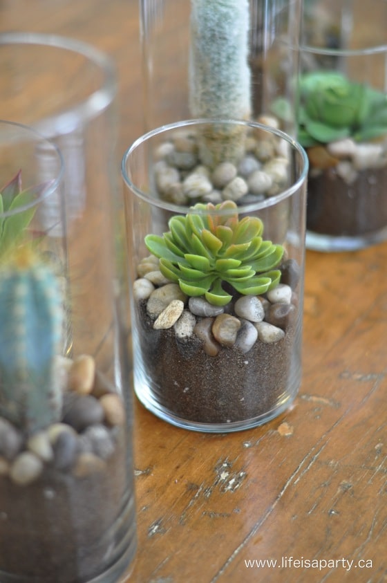 How To Make a faux cactus centrepiece inexpensively