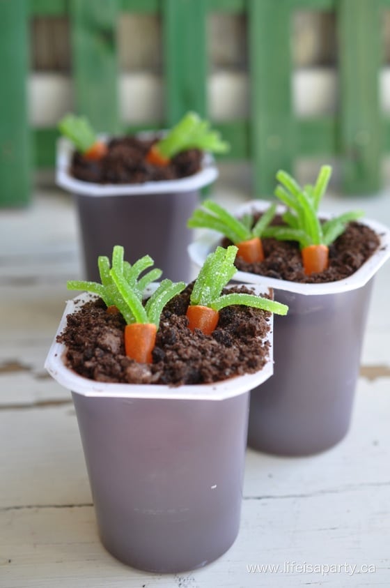 Carrot Patch Pudding cups