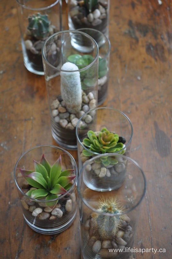 glass vase cactus centre piece for a party