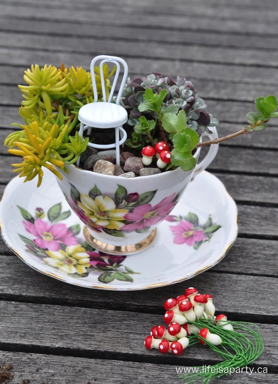 Teacup Fairy Garden with mini mushrooms and a chair