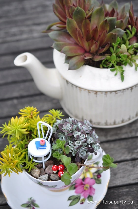 Teacup Fairy Garden and teapot succulent planter