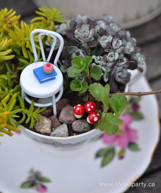 Teacup Fairy Garden with succulents and a miniature chair, book, and cupcake for a fairy 