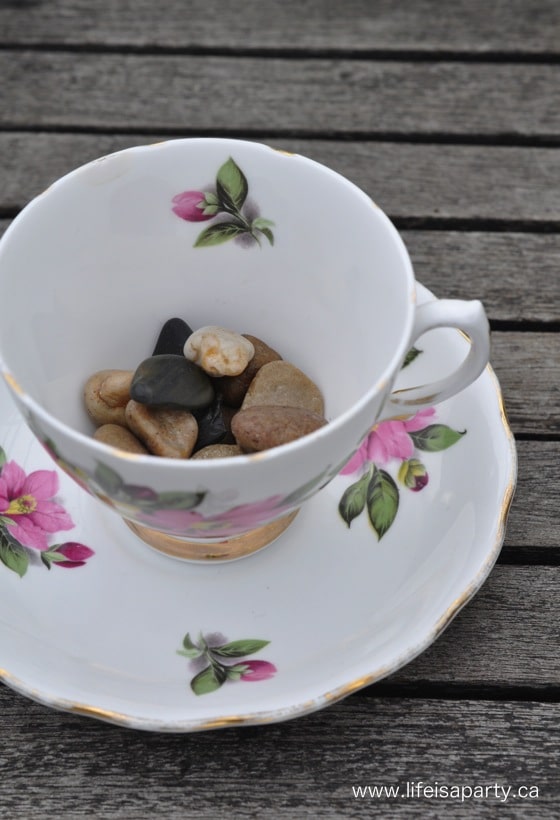 rocks in the bottom of a teacup for drainage for plants