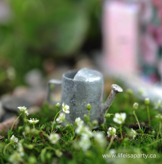 miniature watering can for a fairy garden