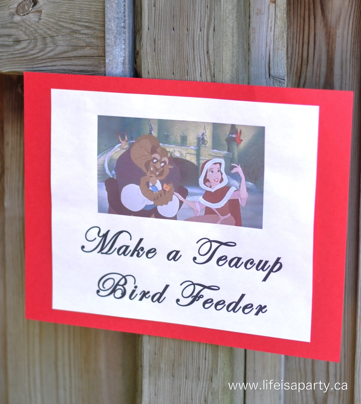Make a teacup bird feeder poster