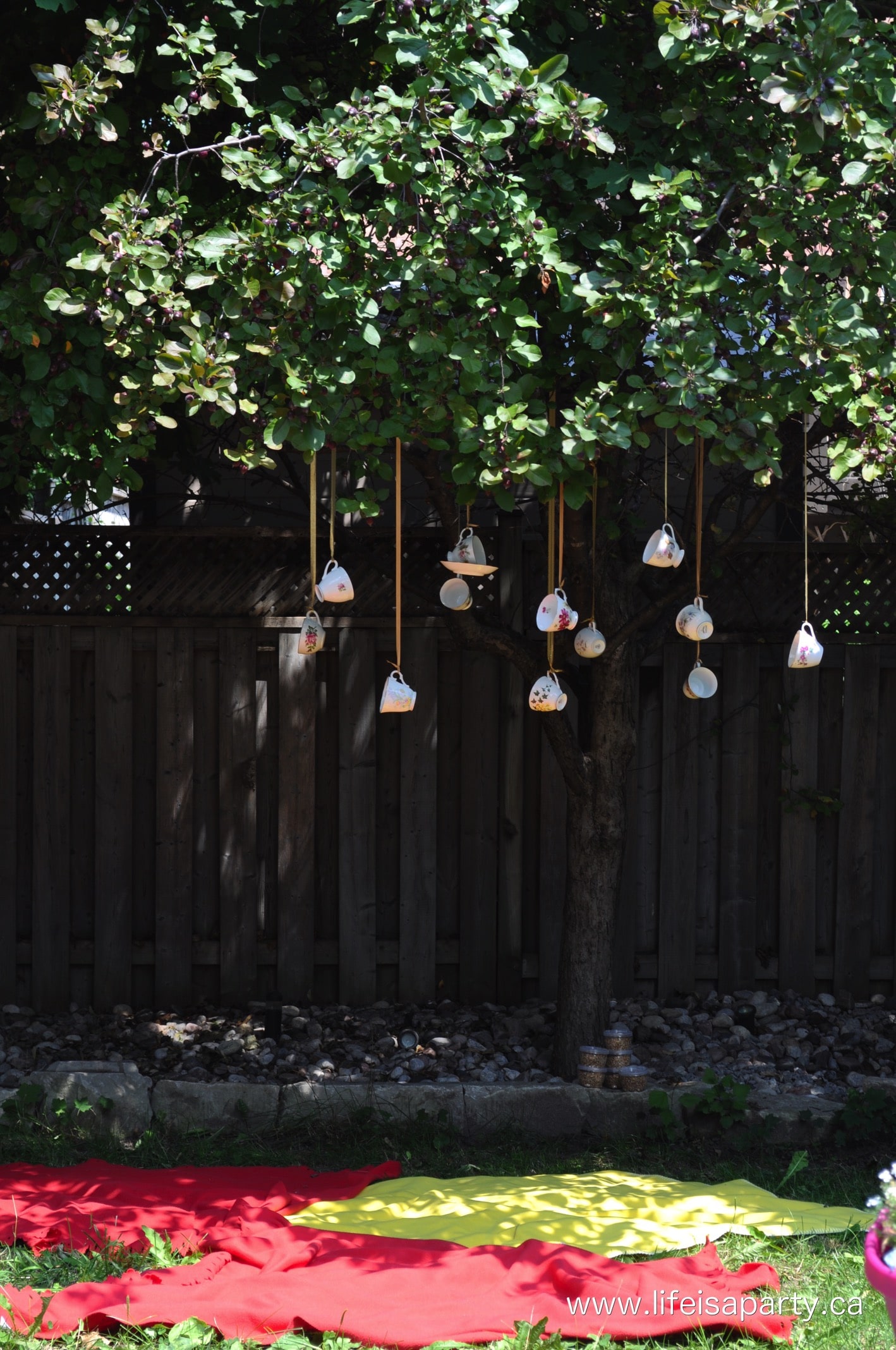 tea cup bird feeders hanging in a tree