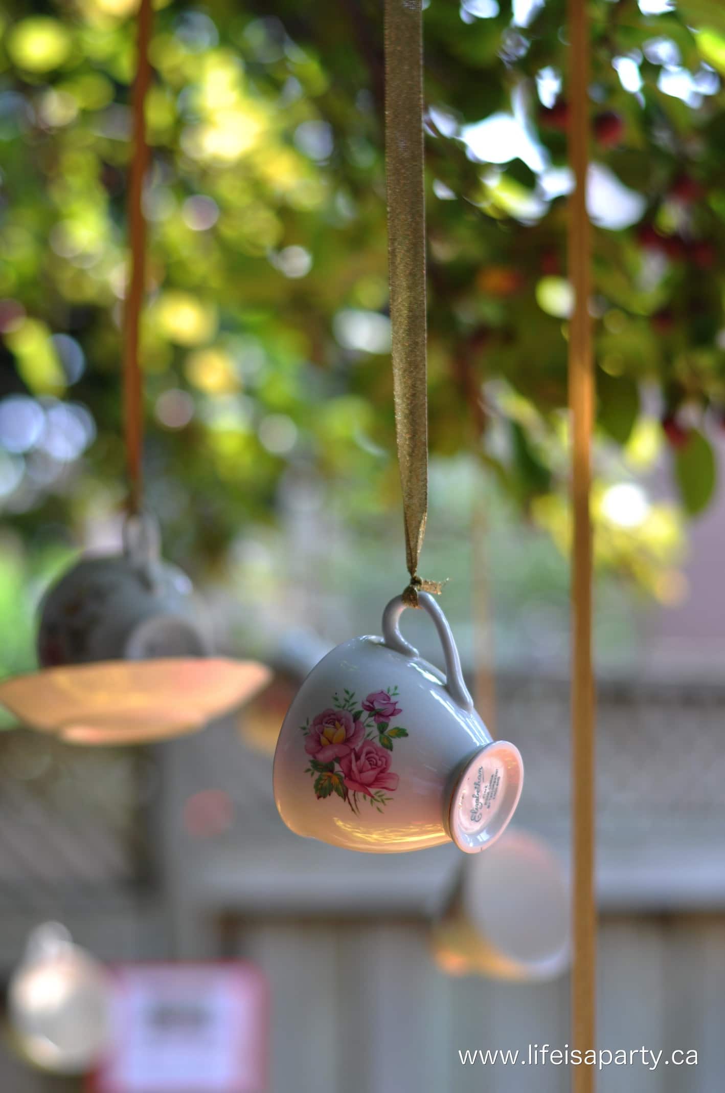 teacup bird feeders hanging in a tree