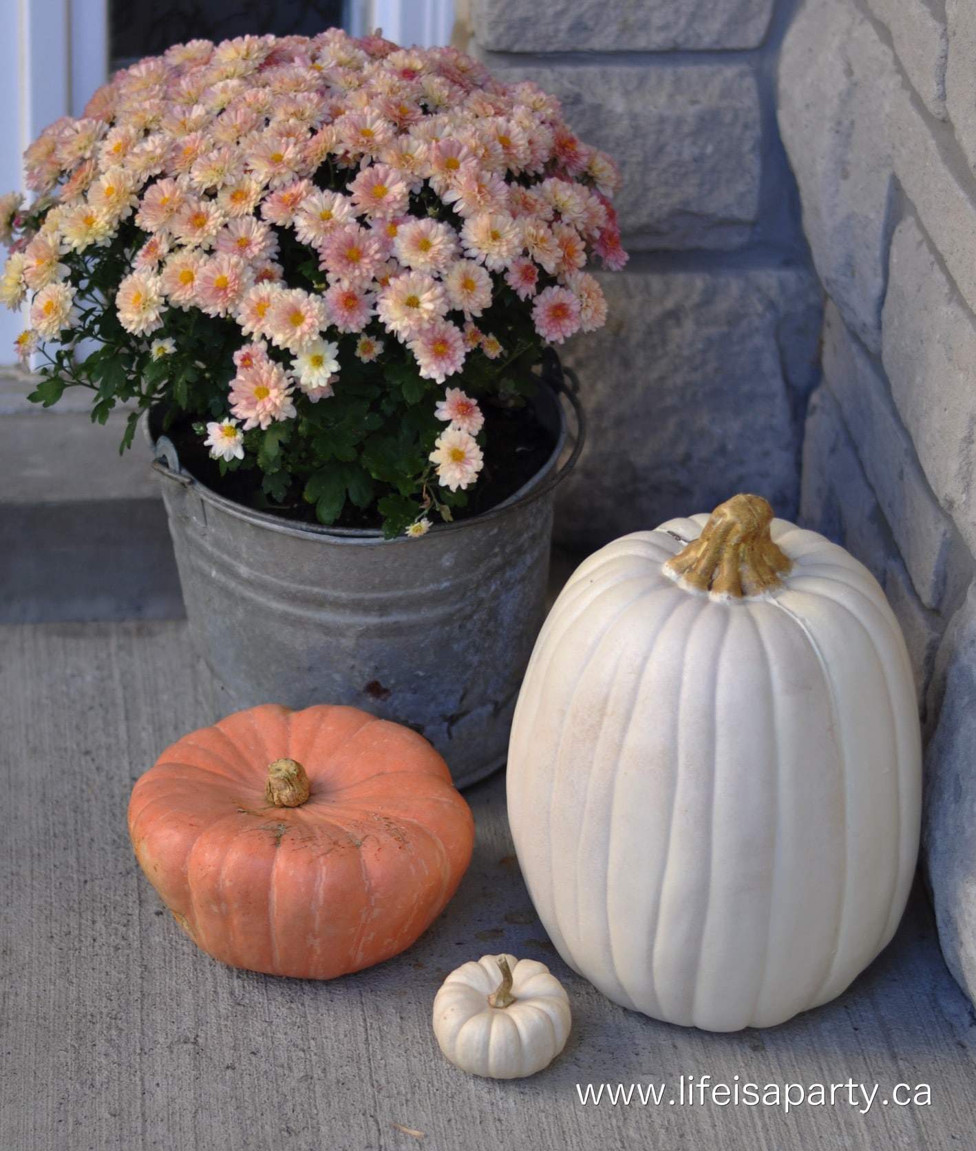 peach mums and pumpkins