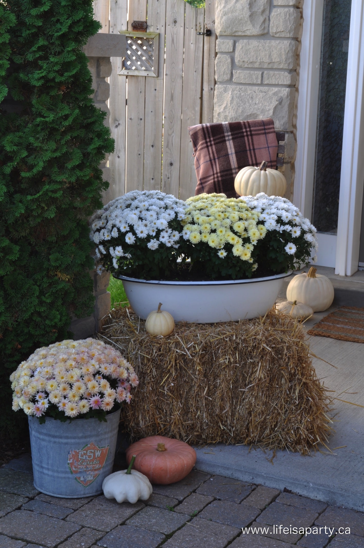neutral fall mums in vintage containers