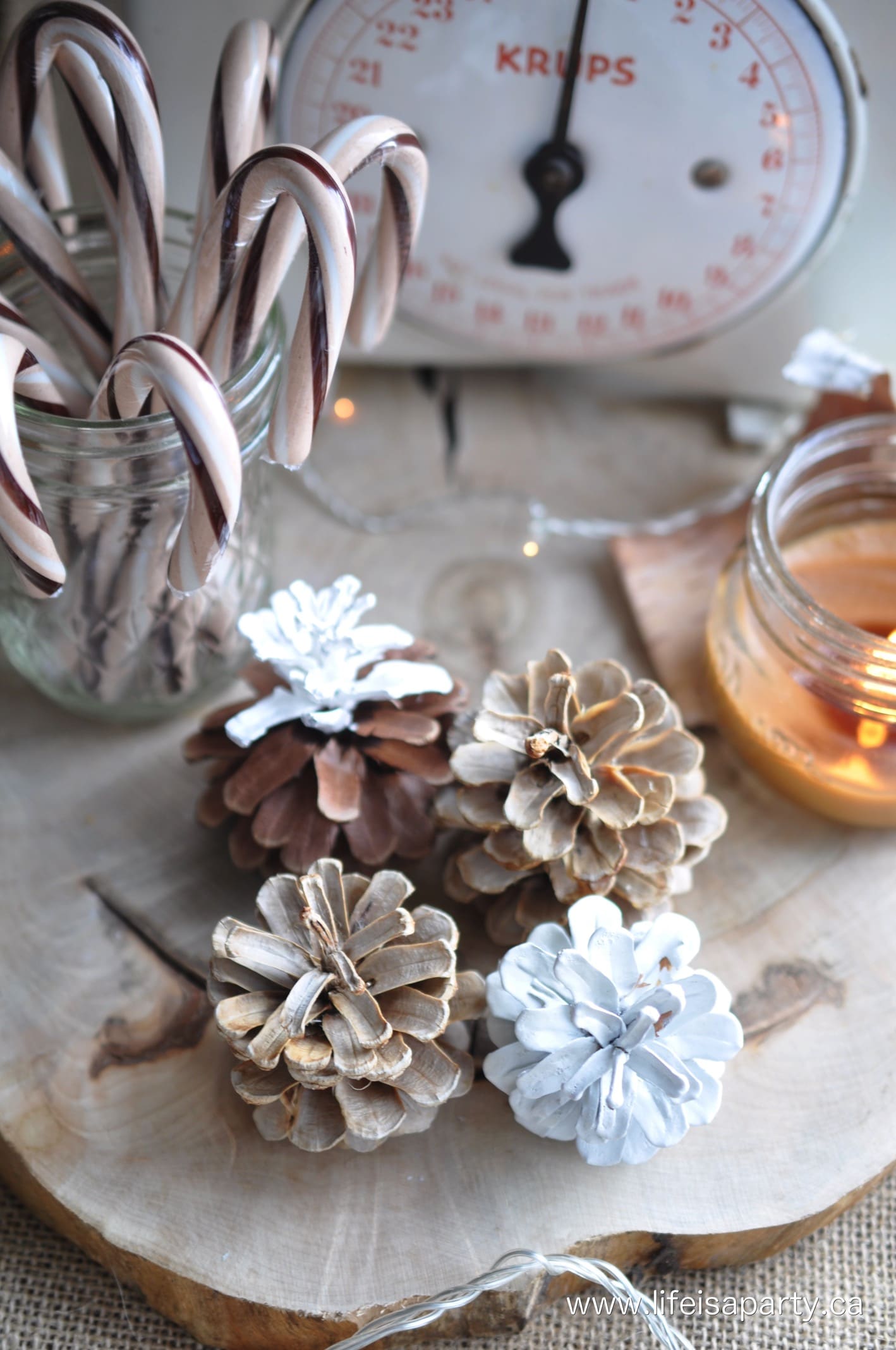DIY Scented Bleached Pinecones