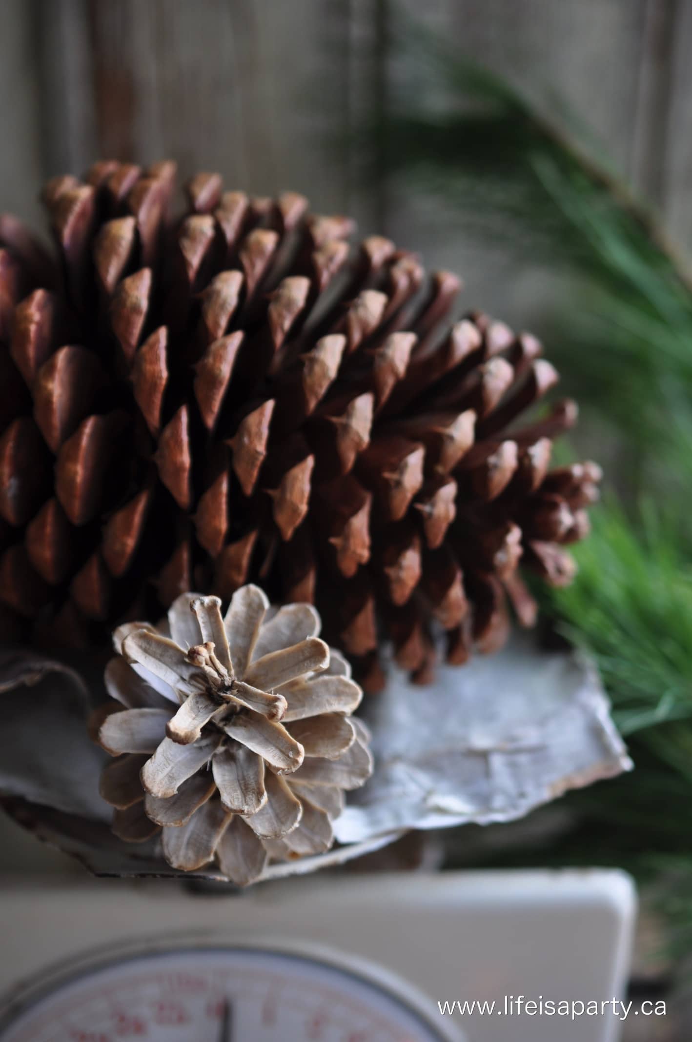 How to make your own scented bleached pinecones