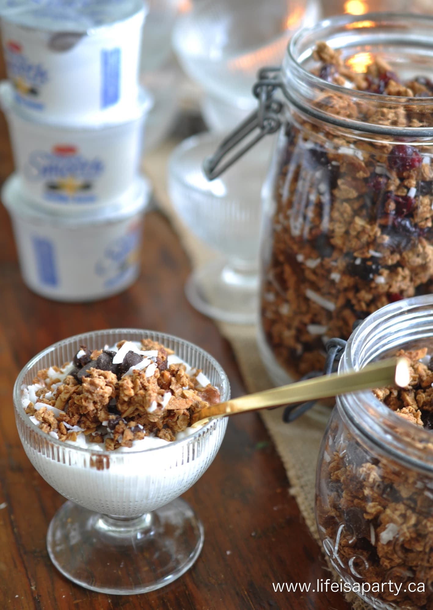 homemade chocolate chip and coconut granola